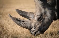 Circuit Safari en Tanzanie - Tarangire, Serengeti et Ngorongoro / 5 jours/4 nuits