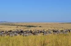 Circuit Safari en camping dans le Masai Mara