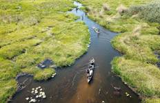 Zimbabwe & Botswana Game Tracker Tour