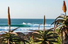 7 day Garden Route, Cape Point and Winelands Combo Tour