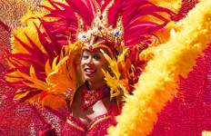 Rio de Janeiro Carnival Experience Tour