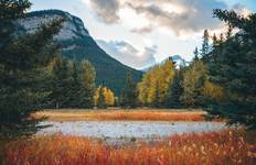 Kanadas Rockies (7 Tage) Reise