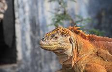 Circuit Expérience aux Galápagos