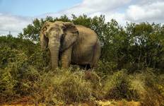 Journeys: Explore Kruger National Park National Geographic Journeys Tour