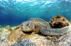 Galapagos Multisport Tour