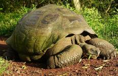 Circuit Le meilleur des Galápagos