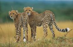 29-day Kruger & Victoria Falls to Serengeti (Accommodated) Tour