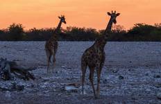 Botswana Highlights Tour