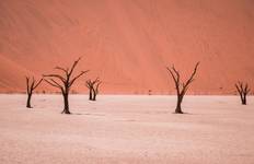 Circuit Journeys : Les merveilles de la Namibie National Geographic Journeys