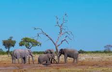 Circuit Delta, Chobe et chutes Victoria - avec hébergement - 12 jours