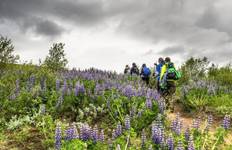 Circuit Trek Laugavegur - 4 jours de Trek - refuges