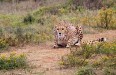 7-day Kruger, Eswatini & Durban (Accommodated) Tour