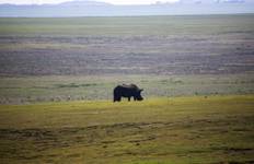 58-day Gorillas to Cape Town (Accommodated) Tour