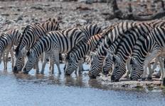46-day Gorillas to Victoria Falls & Kruger (Accommodated)