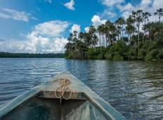 3 days - Tambopata Amazon Jungle Tour