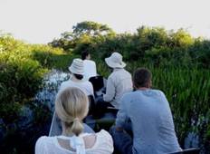 4 Days North Pantanal - Unearthing exotic treasures in the Pantanal wetlands - New*** Tour