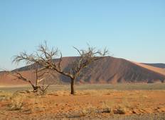 Southern Africa Northbound: Dunes, Deltas & Falls Tour