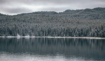Canadian Rockies & Northern Lights