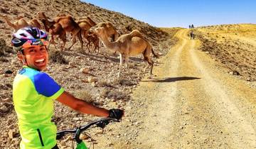 Cycle Jordan: Petra, Wadi Rum & the Dead Sea