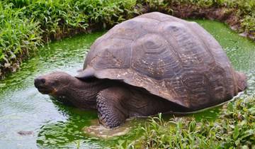 Galápagos Full Experience 4D-3N! Tour