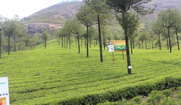Best of North and South India Tour