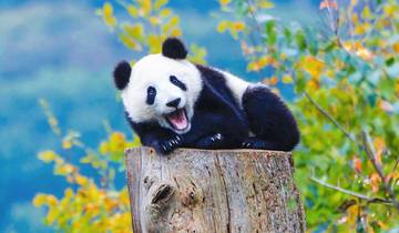 14 Day China Itinerary, incl. Beijing and Shanghai