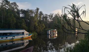 3 Day Tanjung Puting National Park Itinerary, incl. Kumai and Camp Leakey