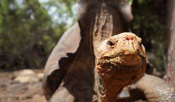 7 Day Galapagos Islands Itinerary, incl. Santa Cruz and San Cristóbal