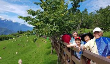 5 Days in Taiwan Family, incl. Taipei and Sun Moon Lake