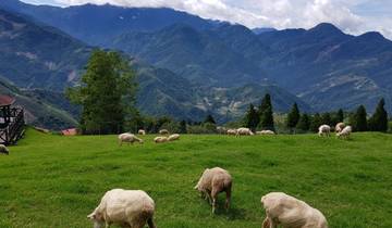 Circuit privé de 5 jours à Taïwan pour le plaisir des familles circuit