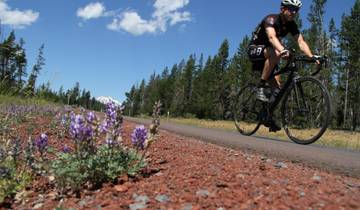 Bend Breakaway Multisport