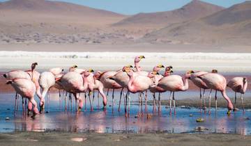 Het mooiste van Bolivia