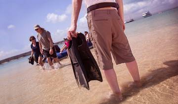 7 Day Galapagos Islands Itinerary, incl. Santa Cruz and San Cristóbal