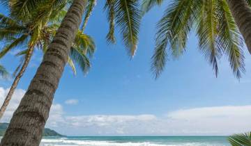 Highlights of Costa Rica + Beach Extension