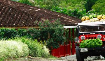 14 Days in Colombia, incl. Bogota and Cartagena