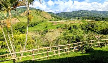14 Days in Colombia, incl. Bogota and Cartagena