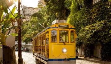 14 Days in Brazil, incl. Amazon and Rio de Janeiro