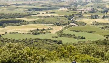 Recorriendo el Camino de Santiago