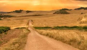 Walking the Camino de Santiago