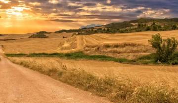 Marcher sur le Camino de Santiago