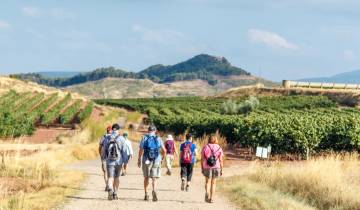 Marcher sur le Camino de Santiago