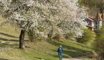 Radfahren in Rumänien