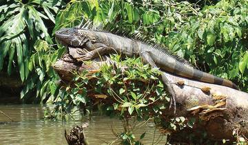 14 Days in Costa Rica, incl. San Jose and Tortuguero