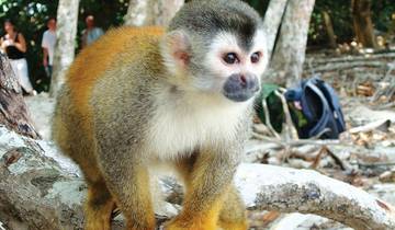 14 Days in Costa Rica, incl. San Jose and Tortuguero