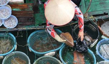 27 Days in Indochina, incl. Luang Prabang and Angkor Wat