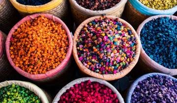 20 Days in Morocco, incl. Marrakech and Fes
