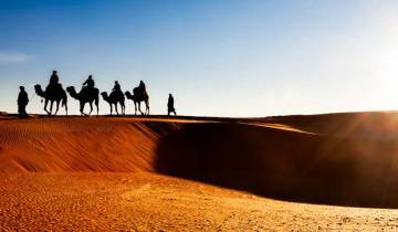 20 Days in Morocco, incl. Marrakech and Fes