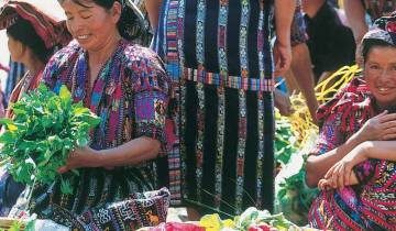 Gastronomía y Vinos