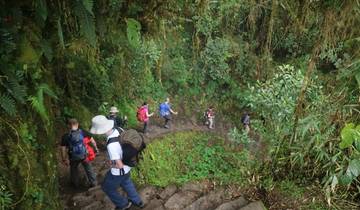 Walk Peru's Inca Trail and Palccoyo Rainbow Mountain