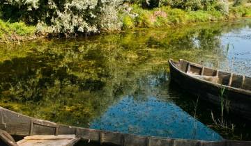 12 Days in Romania, incl. Bucharest and Transylvania